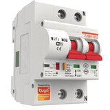 Smart WiFi Circuit Breaker Automatic Switch Overload Short Circuit Protection MCB 2P AC230V 63A