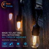 LED Filament Bulb String Light Kit inc 15x2W Filament LED Lamps - ENER-J Smart Home