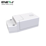 100W RF & WiFi ON/OFF & Dimming Receiver, Also works with Alexa - ENER-J Smart Home
