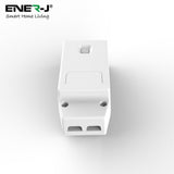 100W RF & WiFi ON/OFF & Dimming Receiver, Also works with Alexa - ENER-J Smart Home