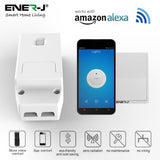 100W RF & WiFi ON/OFF & Dimming Receiver, Also works with Alexa - ENER-J Smart Home