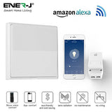 100W RF & WiFi ON/OFF & Dimming Receiver, Also works with Alexa - ENER-J Smart Home